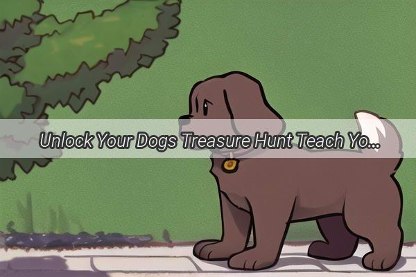 Unlock Your Dogs Treasure Hunt Teach Your Pooch to Find Toys with These Simple Steps